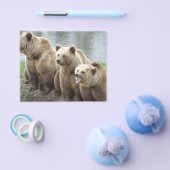 Bärentierspezialisten personalisieren flyer (Einzeln)