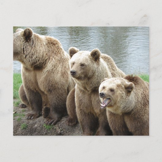 Bärentierspezialisten personalisieren flyer (Vorne)