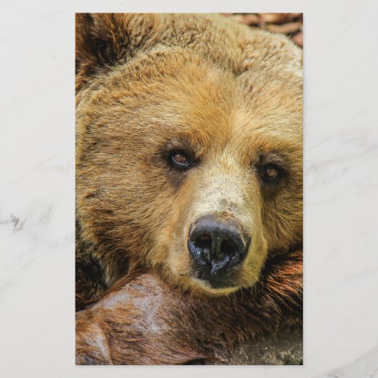 Bärentierspezialisten personalisieren flyer (Vorne)