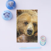 Bärentierspezialisten personalisieren flyer (Einzeln)