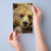 Bärentierspezialisten personalisieren flyer (Handgriff)