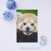 Bärentierspezialisten personalisieren flyer (Einzeln)