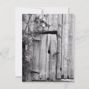 Barenttür in Schwarz und Weiß Postkarte