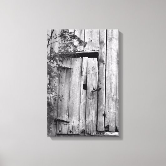 Barenttür mit Baumkanvas Print Leinwanddruck (Vorderseite)