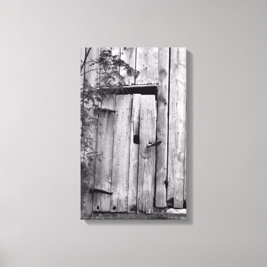 Barenttür mit Baumkanvas Print Leinwanddruck (Vorderseite)