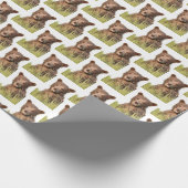 Bärenverpackungspapier Geschenkpapier (Ecke)