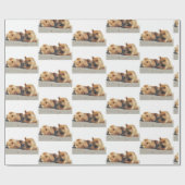 Bärenverpackungspapier Geschenkpapier (Flach)