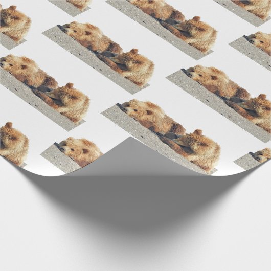 Bärenverpackungspapier Geschenkpapier (Ecke)
