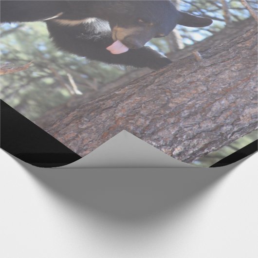 Bärenwackelpapier Geschenkpapier (Ecke)