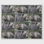 Bärenwackelpapier Geschenkpapier (Flach)