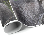 Bärenwackelpapier Geschenkpapier (Rolleneckpunkt)