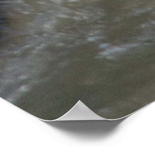 Bärenwasserkampf Poster (Ecke)