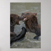 Bärenwasserkampf Poster (Vorne)
