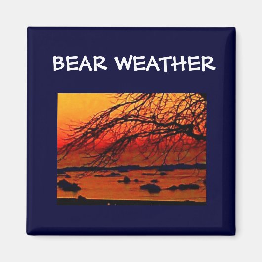 BÄRENWETTER MAGNET (Vorne)