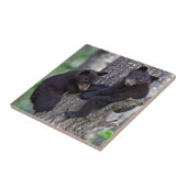 Bärenzapfen Trembing Niedlichen Tiere Fliese (Seite)