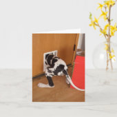 Bargeld aufgefangene Harleguin Dogge-Welpenkarte Karte (Gelbe Blume)