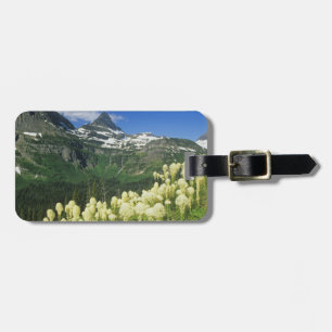 Bärgras bei Logan Pass, Gacier National Gepäckanhänger