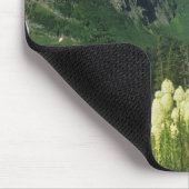 Bärgras bei Logan Pass, Gacier National Mousepad (Ecke)