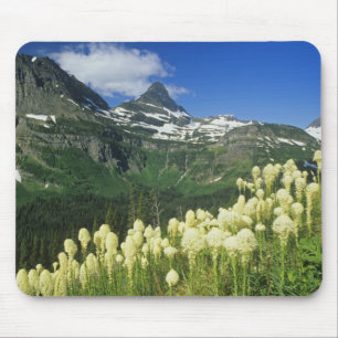 Bärgras bei Logan Pass, Gacier National Mousepad