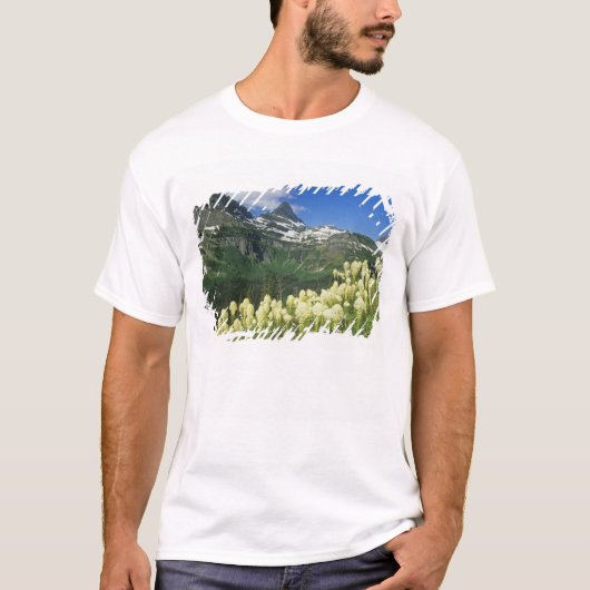 Bärgras bei Logan Pass, Gacier National T-Shirt (Vorderseite)