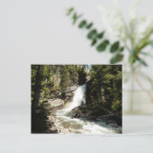 Baring Falls at Glacier National Park Postkarte (Stehend Vorderseite)