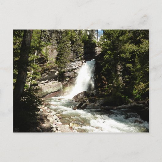 Baring Falls at Glacier National Park Postkarte (Vorderseite)