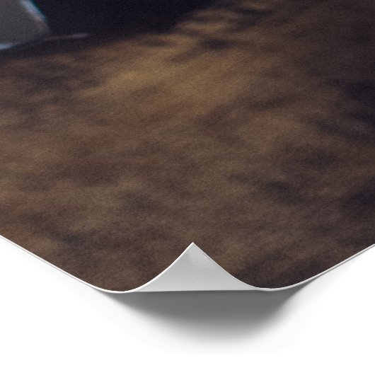 Barista Coffee Image Poster (Ecke)