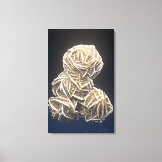 Baritkristalle mit Gypsum, Norman, Oklahoma, USA Leinwanddruck (Vorderseite)