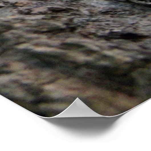 Bark auf einem Baum Poster (Ecke)