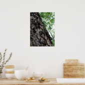Bark auf einem Baum Poster (Küche)