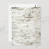 BARK BIRCH POSTKARTE (Vorne/Hinten)