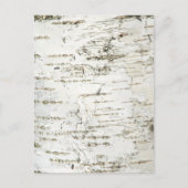 BARK BIRCH POSTKARTE (Vorderseite)