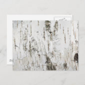 BARK BIRCH POSTKARTE (Vorne/Hinten)