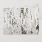 BARK BIRCH POSTKARTE (Vorderseite)