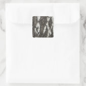 Bark Birch Wood Quadratischer Aufkleber (Tasche)