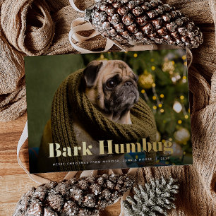 Bark Humbug Foto von Haustieren Folien Feiertagskarte