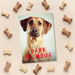 Bark Humbug Niedlich Funny Pet Dog Foto Feiertagskarte