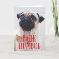 Bark Humbug Niedlicher Welpenhund | Foto für Feier