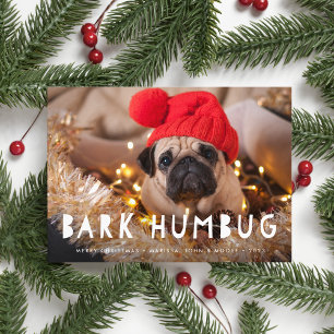 Bark Humbug Pet Foto Holiday Card Feiertagskarte