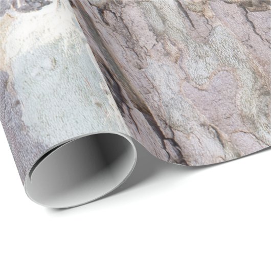 Bark of plane tree geschenkpapier (Rolleneckpunkt)