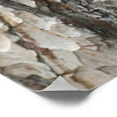 Bark Pine Wood Poster (Ecke)