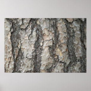 Bark Pine Wood Poster