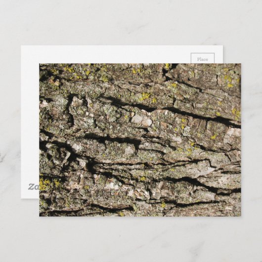 Bark Postkarte (Vorne/Hinten)