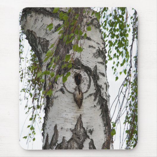 BARK TREE MOUSEPAD (Vorne)