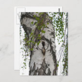BARK TREE POSTKARTE (Vorne/Hinten)