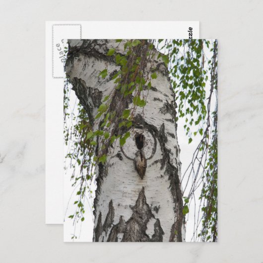 BARK TREE POSTKARTE (Vorne/Hinten)