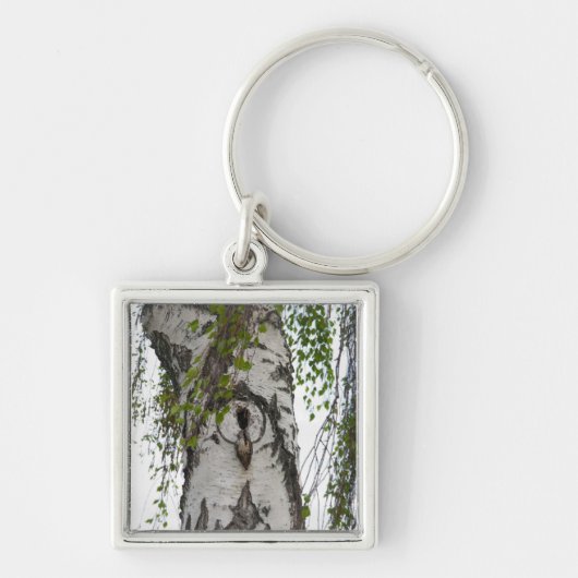 BARK TREE SCHLÜSSELANHÄNGER (Vorne)