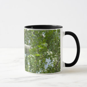 BARK TREE TASSE