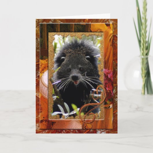 Barkat-16 Karte (Vorderseite)