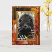 Barkat-16 Karte (Gelbe Blume)